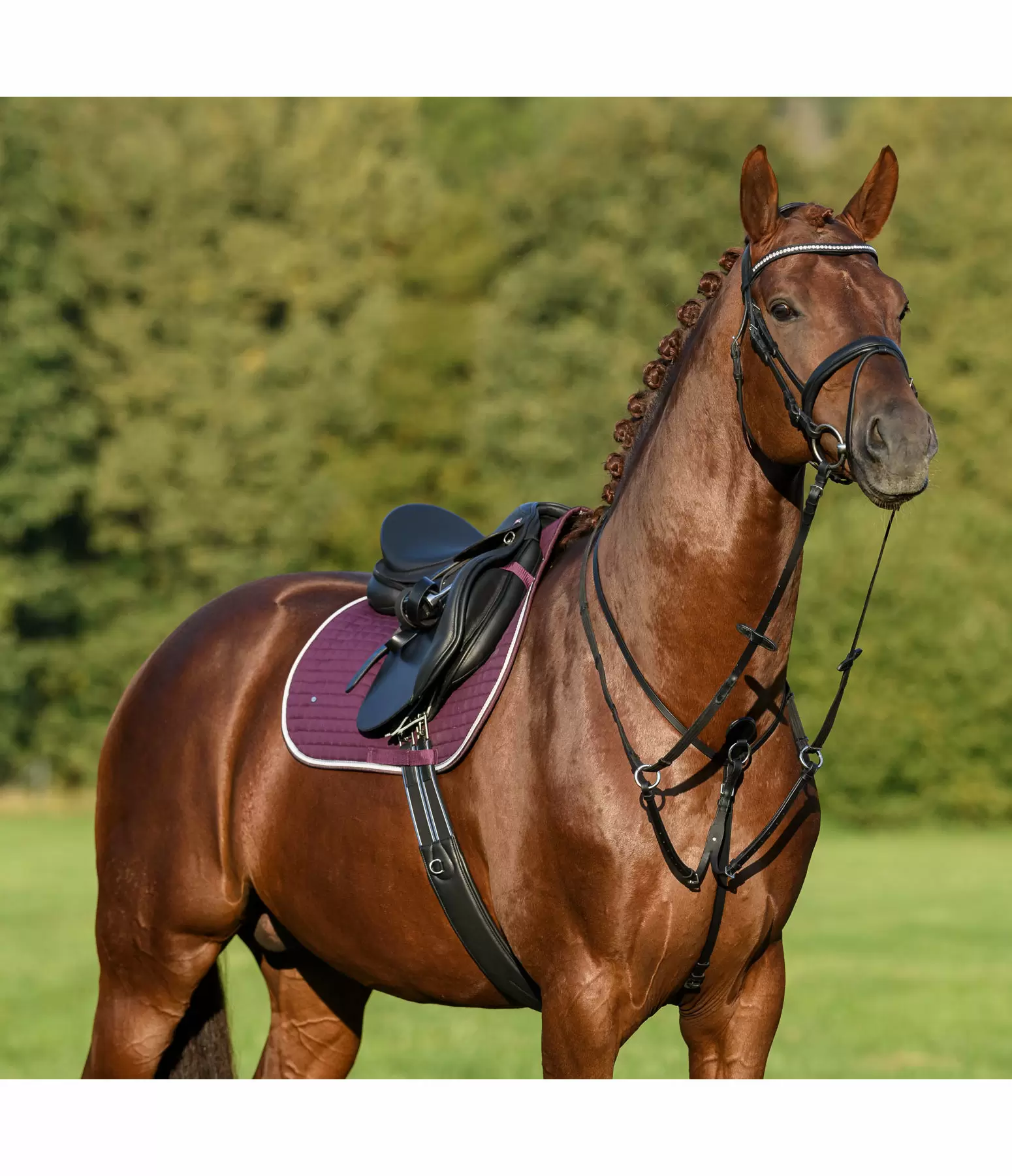 Martingale en cuir gras  Quick Fit II